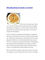 Biện pháp phòng trừ sâu đục vỏ trái bưởi pot