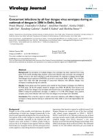 Báo cáo hóa học: 