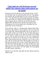 Công nghệ sản xuất Hydrogen peroxid (H202) theo phương pháp anthraquinol xúc tác paladi pot
