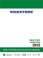 báo cáo thường niên 2012 cty cp đá ốp lát cao cấp vinaconex