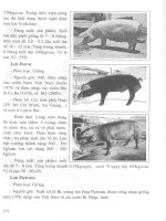 Giáo trình chọn giống và nhân giống vật nuôi part 10 ppt