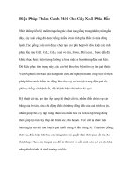 Biện Pháp Thâm Canh Mới Cho Cây Xoài Phía Bắc ppt