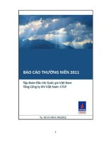 báo cáo thường niên 2011 tập đoàn dầu khí quốc gia việt nam tổng công ty khí việt nam ctcp