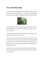 Xử Lý Ra Hoa Dứa doc