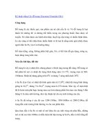 Nghiên cứu khoa học 