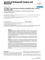 báo cáo hóa học: