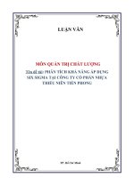 luận văn đề tài phân tích khả năng áp dụng six sigma tại công ty cổ phần nhựa thiếu niên tiền phong