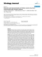 Báo cáo hóa học: 