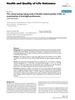 báo cáo hóa học: