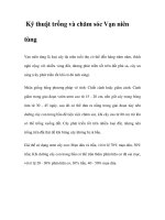 Kỹ thuật trồng và chăm sóc potx