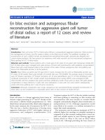 báo cáo hóa học: