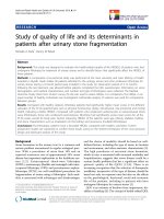 báo cáo hóa học: