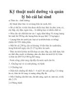 Kỹ thuật nuôi dưỡng và quản lý bò cái lai sind potx