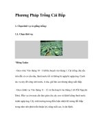 Phương Pháp Trồng Cải Bắp potx