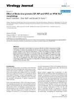 Báo cáo hóa học: 