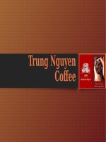 Phân tích chiến lược kinh doanh của Trung Nguyên giai đoạn 2014 2020