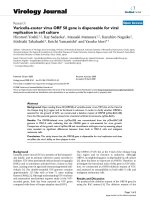 Báo cáo hóa học: 