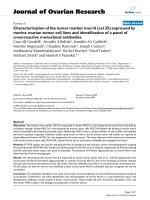 báo cáo hóa học: