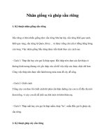 Nhân giống và ghép sầu riêng pptx