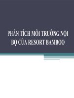 Phân tích môi trường nội bộ của resort bamboo