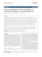 Báo cáo hóa học: 