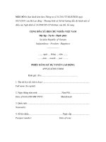 MẪU PHIẾU ĐĂNG KÝ DỰ TUYỂN LAO ĐỘNG docx