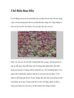 Chế Biến Rau Dền pdf