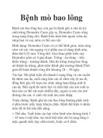 Bệnh mò bao lông pptx