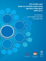 chỉ số hiệu quả quản trị và hành chính công cấp tỉnh ở việt nam papi 2013 đo lường từ kinh nghiệm thực tiễn của người dân