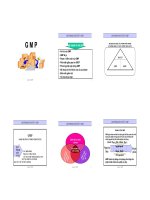 tiêu chuẩn GMP trong sản xuất thực phẩm