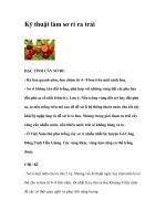 Kỹ thuật làm sơ ri ra trái pot