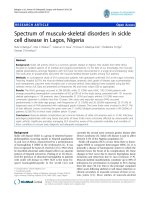 báo cáo hóa học: