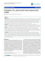 Zhang et al. Journal of Orthopaedic Surgery and Research 2010, 5:15 potx