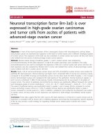 báo cáo hóa học: