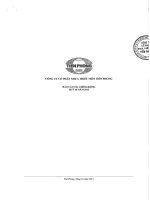 BÁO cáo tài CHÍNH RIÊNG QUÝ 3 2013 công ty cổ phần nhựa thiếu niên tiền phong
