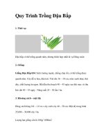 Quy Trình Trồng Đậu Bắp potx