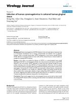 Báo cáo hóa học: 