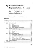 Handbook of plant based biofuels - Chapter 9 pot