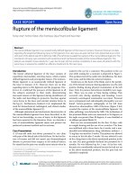 báo cáo hóa học: