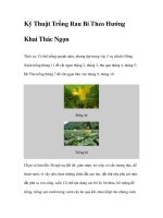 Kỹ Thuật Trồng Rau Bí Theo Hướng Khai Thác Ngọn doc