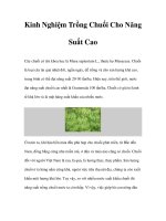 Kinh Nghiệm Trồng Chuối Cho Năng Suất Cao pot