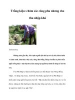 Trồng kiệu: chăm sóc công phu nhưng cho thu nhập khá pdf