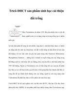 Tricô-ĐHCT sản phẩm sinh học cải thiện đất trồng pot