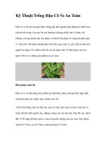 Kỹ Thuật Trồng Đậu Cô Ve An Toàn potx