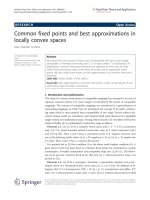 Báo cáo toán học: 