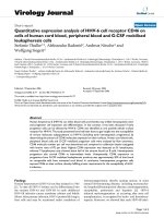 Báo cáo hóa học: 