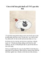 Cừu có thể hóa giải thuốc nổ TNT qua tiêu hóa docx