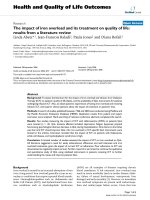 báo cáo hóa học: