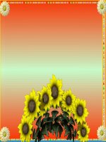 Bài 24. Đa dạng và vai trò lớp giác xác