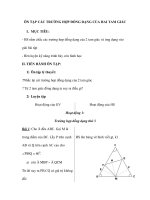 ÔN TẬP CÁC TRƯỜNG HỢP ĐỒNG DẠNG CỦA HAI TAM GIÁC pot